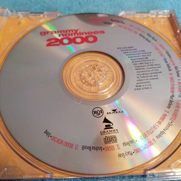 Grammy nominee's 2000 - Picture 4 of 5